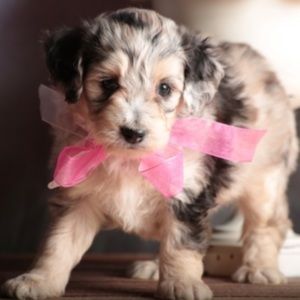 Offers? ღ the item but not the price? Offer away!